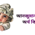 আনজুমান নামের ইসলামিক অর্থ কি - আনজুমান নামের মেয়েরা কেমন হয়