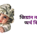 জিয়ান নামের ইসলামিক অর্থ কি - জিয়ান নামের ছেলেরা কেমন হয়