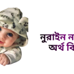 নুরাইন নামের ইসলামিক অর্থ কি - নুরাইন নামের মেয়েরা কেমন হয়
