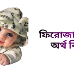 ফিরোজা নামের ইসলামিক অর্থ কি - ফিরোজা নামের মেয়েরা কেমন হয়