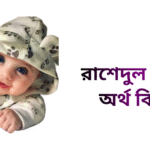 রাশেদুল নামের ইসলামিক অর্থ কি - রাশেদুল নামের ছেলেরা কেমন হয়
