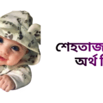 শেহতাজ নামের ইসলামিক অর্থ কি - শেহতাজ নামের মেয়েরা কেমন হয়