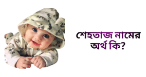 শেহতাজ নামের ইসলামিক অর্থ কি - শেহতাজ নামের মেয়েরা কেমন হয়