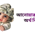 আনোয়ার নামের ইসলামিক অর্থ কি - আনোয়ার নামের ছেলেরা কেমন হয়