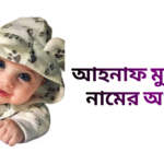 আহনাফ মুনতাসির নামের ইসলামিক অর্থ কি - আহনাফ মুনতাসির নামের ছেলেরা কেমন হয়