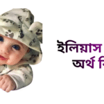 ইলিয়াস নামের ইসলামিক অর্থ কি - ইলিয়াস নামের ছেলেরা কেমন হয়