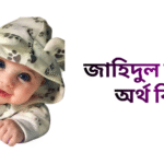 জাহিদুল নামের ইসলামিক অর্থ কি - জাহিদুল নামের ছেলেরা কেমন হয়