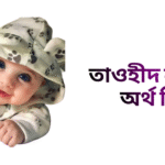তাওহীদ নামের ইসলামিক অর্থ কি - তাওহীদ নামের ছেলেরা কেমন হয়