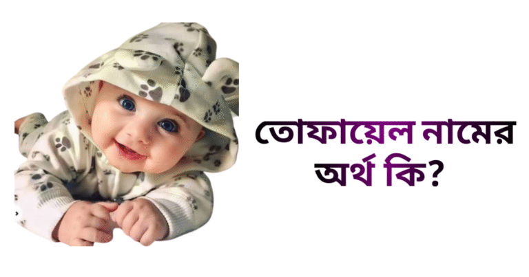 তোফায়েল নামের ইসলামিক অর্থ কি - তোফায়েল নামের ছেলেরা কেমন হয়