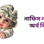 নাফিস নামের ইসলামিক অর্থ কি - নাফিস নামের ছেলেরা কেমন হয়