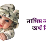 নাসিম নামের ইসলামিক অর্থ কি - নাসিম নামের ছেলেরা কেমন হয়