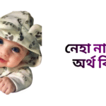 নেহা নামের ইসলামিক অর্থ কি - নেহা নামের মেয়েরা কেমন হয়