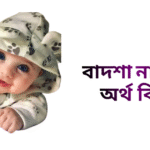 বাদশা নামের অর্থ কি - বাদশা নামের ছেলেরা কেমন হয়