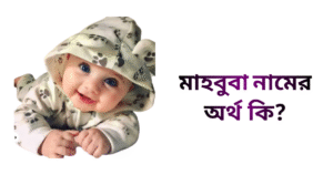 মাহবুবা নামের ইসলামিক অর্থ কি - মাহবুবা নামের মেয়েরা কেমন হয়