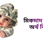 মিকদাদ নামের ইসলামিক অর্থ কি - মিকদাদ নামের ছেলেরা কেমন হয়