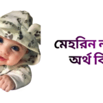 মেহরিন নামের ইসলামিক অর্থ কি - মেহরিন নামের মেয়েরা কেমন হয়