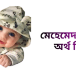 মেহেমেদ নামের ইসলামিক অর্থ কি - মেহেমেদ নামের ছেলেরা কেমন হয়