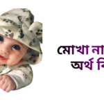 মোখা নামের ইসলামিক অর্থ কি - মোখা নামের ছেলেরা কেমন হয়