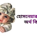 হোসনেয়ারা নামের ইসলামিক অর্থ কি - হোসনেয়ারা নামের মেয়েরা কেমন হয়