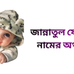 জান্নাতুল ফেরদৌস নামের ইসলামিক অর্থ কি - জান্নাতুল ফেরদৌস নামের মেয়েরা কেমন হয়