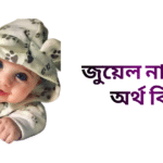 জুয়েল নামের ইসলামিক অর্থ কি - জুয়েল নামের ছেলেরা কেমন হয়
