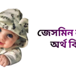 জেসমিন নামের ইসলামিক অর্থ কি - জেসমিন নামের মেয়েরা কেমন হয়