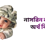 নাসরিন নামের ইসলামিক অর্থ কি - নাসরিন নামের মেয়েরা কেমন হয়
