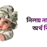 নিলয় নামের ইসলামিক অর্থ কি - নিলয় নামের ছেলেরা কেমন হয়