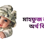 মাহফুজ নামের ইসলামিক অর্থ কি - মাহফুজ নামের ছেলেরা কেমন হয়