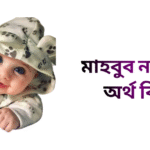 মাহবুব নামের ইসলামিক অর্থ কি - মাহবুব নামের ছেলেরা কেমন হয়