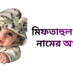মিফতাহুল জান্নাত নামের ইসলামিক অর্থ কি - মিফতাহুল জান্নাত নামের মেয়েরা কেমন হয়