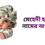 মেহেদী হাসান নামের ইসলামিক অর্থ কি - মেহেদী হাসান নামের ছেলেরা কেমন হয়