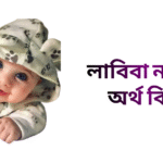 লাবিবা নামের ইসলামিক অর্থ কি - লাবিবা নামের মেয়েরা কেমন হয়