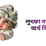 লুৎফা নামের ইসলামিক অর্থ কি - লুৎফা নামের মেয়েরা কেমন হয়