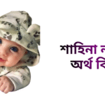 শাহিনা নামের ইসলামিক অর্থ কি - শাহিনা নামের মেয়েরা কেমন হয়