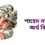 শাহেদ নামের ইসলামিক অর্থ কি - শাহেদ নামের ছেলেরা কেমন হয়