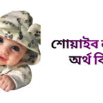 শোয়াইব নামের ইসলামিক অর্থ কি - শোয়াইব নামের ছেলেরা কেমন হয়