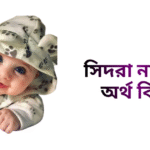 সিদরা নামের ইসলামিক অর্থ কি - সিদরা নামের মেয়েরা কেমন হয়