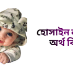 হোসাইন নামের ইসলামিক অর্থ কি - হোসাইন নামের ছেলেরা কেমন হয়