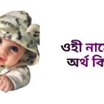 ওহী নামের ইসলামিক অর্থ কি - ওহী নামের ওহী কেমন হয়