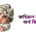 জহিরুল নামের ইসলামিক অর্থ কি - জহিরুল নামের ছেলেরা কেমন হয়