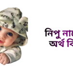 নিপু নামের অর্থ কি - নিপু নামের মেয়েরা কেমন হয়