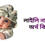লাইলি নামের ইসলামিক অর্থ কি - লাইলি নামের মেয়েরা কেমন হয়