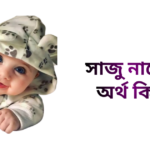 সাজু নামের ইসলামিক অর্থ কি - সাজু নামের ছেলেরা কেমন হয়