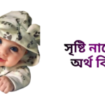 সৃষ্টি নামের ইসলামিক অর্থ কি - সৃষ্টি নামের মেয়েরা কেমন হয়