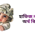 হাফিজ নামের ইসলামিক অর্থ কি - হাফিজ নামের ছেলেরা কেমন হয়