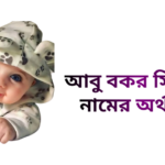 আবু বকর সিদ্দিক নামের ইসলামিক অর্থ কি - আবু বকর সিদ্দিক নামের ছেলেরা কেমন হয়