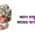আল মামুন নামের ইসলামিক অর্থ কি - আল মামুন নামের ছেলেরা কেমন হয়