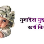 নুসাইবা নুহা নামের ইসলামিক অর্থ কি - নুসাইবা নুহা নামের মেয়েরা কেমন হয়