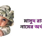মাসুদ রানা নামের ইসলামিক অর্থ কি - মাসুদ রানা নামের ছেলেরা কেমন হয়